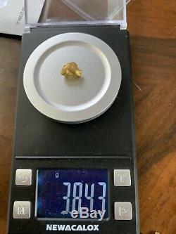 Large Genuine Natural Gold High Karat Nugget Colorado Very Unique To Find