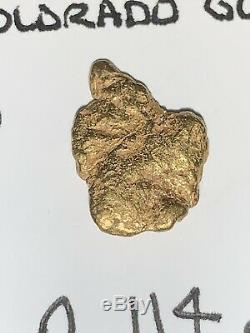 Large Genuine Natural Gold High Karat Nugget Colorado Very Unique To Find