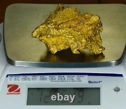 Large Natural Gold Nugget Australian 1275.19 Grams 41.00 Troy Ounces Very Rare
