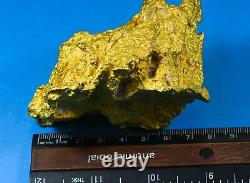 Large Natural Gold Nugget Australian 1275.19 Grams 41.00 Troy Ounces Very Rare M