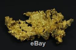 Large Natural Gold Nugget Australian 273.65 Grams 8.79 Troy OuncesThe Dragon