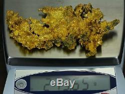 Large Natural Gold Nugget Australian 273.65 Grams 8.79 Troy OuncesThe Dragon