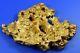 Large Natural Gold Nugget Australian 458.91 Grams, 14.72 Troy Ounces