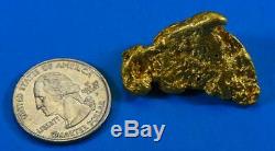 Large Natural Gold Nugget Australian 50.20 Grams 1.61 Troy Ounces Very Rare