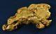 Large Natural Gold Nugget Australian 62.03 Grams 1.99 Troy Ounces Very Rare