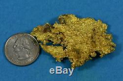 Large Natural Gold Nugget Australian 75.28 Grams 2.43 Troy Ounces Very Rare