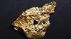 Large Natural Gold Nugget Australian Bird Skull 171 03 Grams 5 49 Troy Ounces Very Rare