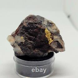 Large Natural Gold Nugget Australian with Quartz/Ironstone 68.25 Grams