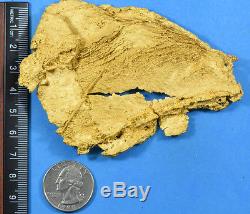 Large Natural Leaf Gold Nugget Australian 196.21 Grams, 6.309 Troy Ounces