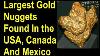 Largest Gold Nuggets Of North America Giant Gold Nuggets Of The Us Canada Mexico And Mother Lode