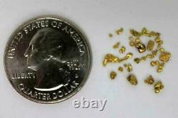Lot 2 X 1 Lb Irwins Gold Paydirt 1 Gram Alaskan Natural Gold Nuggets Guaranteed