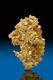Magnificent Sharp Natural Crystalized Gold Nugget Specimen Round Mountain