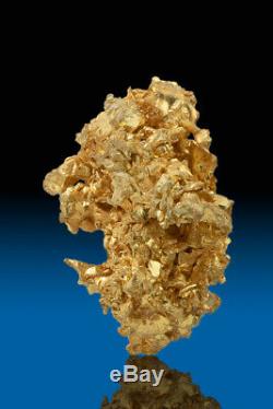 MAGNIFICENT SHARP NATURAL CRYSTALIZED GOLD NUGGET SPECIMEN Round Mountain