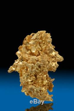 MAGNIFICENT SHARP NATURAL CRYSTALIZED GOLD NUGGET SPECIMEN Round Mountain