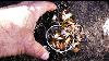 Metal Detecting Best Bits Rings Gold Nuggets Treasure