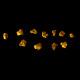 Net 8.09 Grams 11 X Natural High Purity Gold Nuggets From Nt, Australia