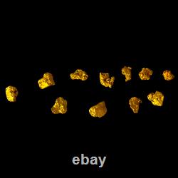 NET 8.09 GRAMS 11 x Natural High Purity Gold Nuggets From NT, Australia