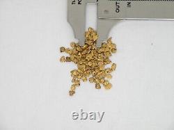 Natural Alaska Yukon BC gold nugget bullion placer 2.5 dwt 3.8grams 10/12