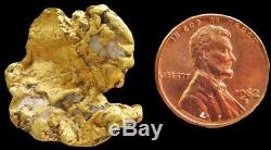 Natural Alaskan 11 Grams Gold Prospector Nugget Quartz Specimen