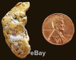 Natural Alaskan 17.6 Grams Gold Prospector Nugget Quartz Specimen