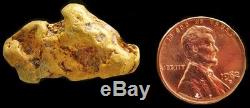Natural Alaskan 20.4 Grams Gold Prospector Nugget Quartz Specimen