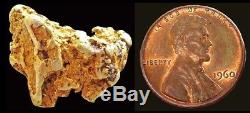 Natural Alaskan 5.7 Gram Gold Prospector Mineral Nugget Quartz Specimen