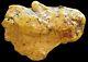 Natural Alaskan 62 Grams Gold Prospector Nugget Quartz Specimen