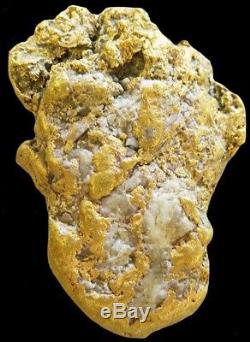 Natural Alaskan 62 Grams Gold Prospector Nugget Quartz Specimen
