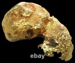 Natural Alaskan Masked Alien Nugget 14.4 Gram Gold Prospector Specimen