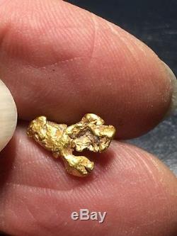 Natural Gold Nugget Specimen With Quartz Rock Bullion From Oregon 1.57 Gram #A34