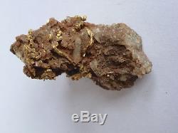 Natural Gold Nugget with Quartz specimen from Colorado USA