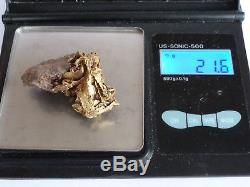 Natural Gold Nugget with Quartz specimen from Colorado USA