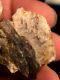 Natural Gold In Quartz Specimen Native Nugget To Southern Oregon 16+ Grams #c