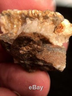 Natural Gold in Quartz Specimen Native Nugget to Southern Oregon 16+ Grams #C