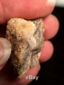 Natural Gold in Quartz Specimen Native Nugget to Southern Oregon 16+ Grams #C