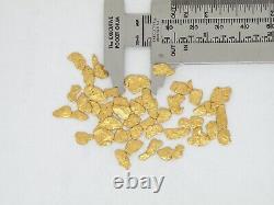 Natural Montana Gold nuggets placer Sauerkraut Creek Gold. Flat, mixed size