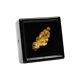 Natural Western Australian Gold Nugget 4.92g