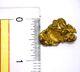 Natural Gold Nugget, 14.12 Grams