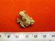 Natural Gold Nugget Authentic