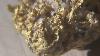 One And Half Pound Gold Nugget Under X10 Macro Lens