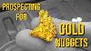 Prospecting For Gold Nuggets