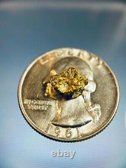 Quality Alaskan Natural Placer Gold Nugget 1.007 grams Free Shipping! #A969
