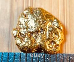 Quality Alaskan Natural Placer Gold Nugget 1.057 grams Free Shipping! #A771