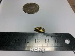 Quality Alaskan Natural Placer Gold Nugget 1.086 grams Free Shipping! #A013