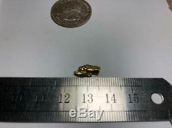 Quality Alaskan Natural Placer Gold Nugget 1.086 grams Free Shipping! #A013