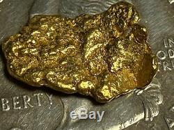 Quality Alaskan Natural Placer Gold Nugget 1.247 grams Free Shipping! #A110