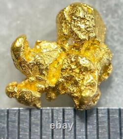Quality Alaskan Natural Placer Gold Nugget 1.403 grams Free Shipping! #A2428
