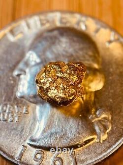 Quality Alaskan Natural Placer Gold Nugget. 891 grams Free Shipping! #A1167
