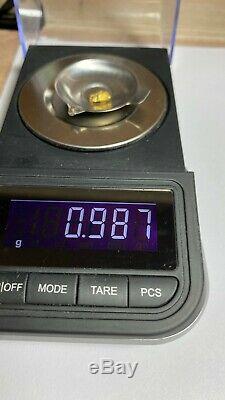 Quality Alaskan Natural Placer Gold Nugget. 987 grams Free Shipping! #A414