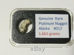 Rare Platinum Natural Nugget 1.665 Gram in Nice Display